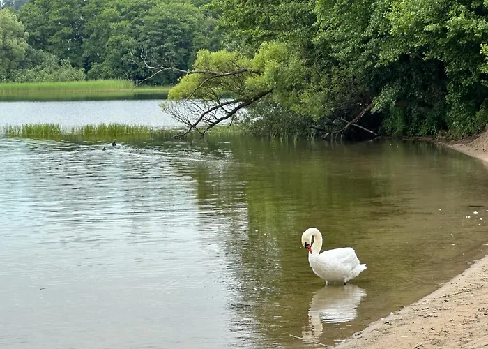 Mave Park Jaktstuga Chmielno